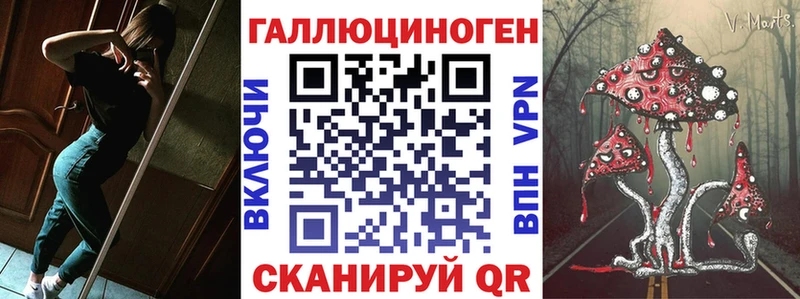 shop телеграм Шилка Псилоцибиновые грибы Cubensis