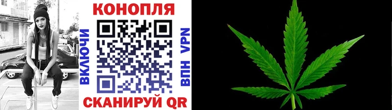 Марихуана индика Шилка